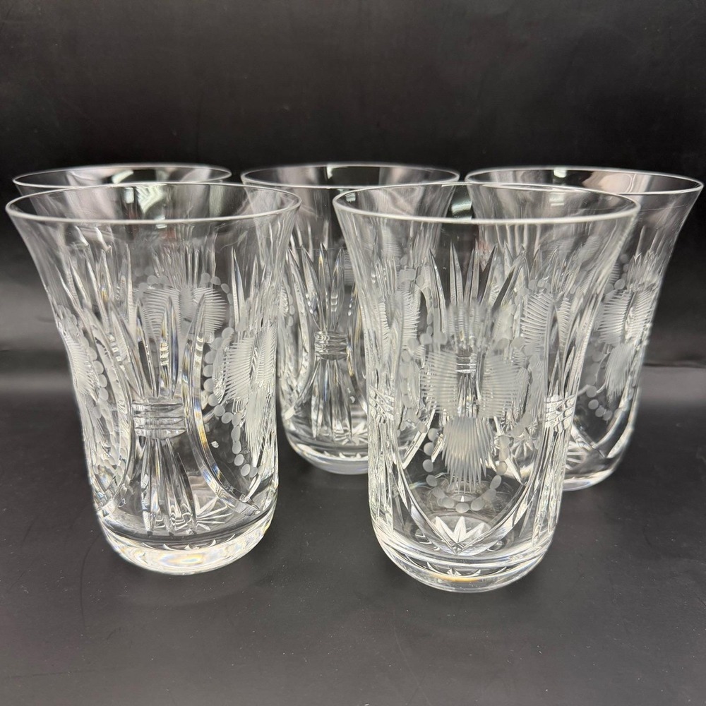 Vtg Set of 5 Crystal Bohemian Cut Clear Tumbler Glasses Etched MCM Czech Glass - Picture 3 of 9